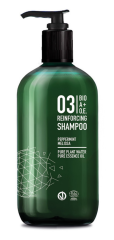 Great Lengths BIO A+O.E. 03 Reinforcing Shampoo 500 ml